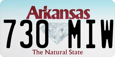 AR license plate 730MIW