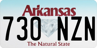 AR license plate 730NZN