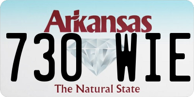 AR license plate 730WIE
