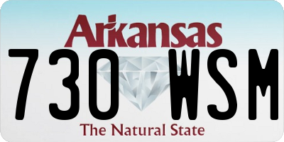 AR license plate 730WSM