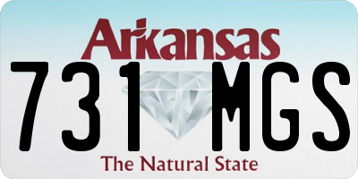 AR license plate 731MGS