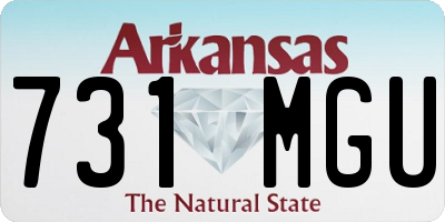 AR license plate 731MGU