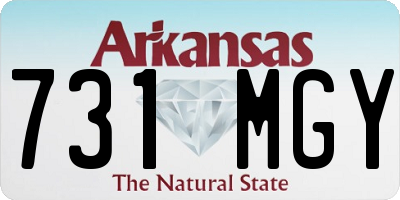 AR license plate 731MGY