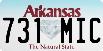 AR license plate 731MIC