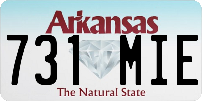 AR license plate 731MIE
