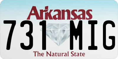 AR license plate 731MIG