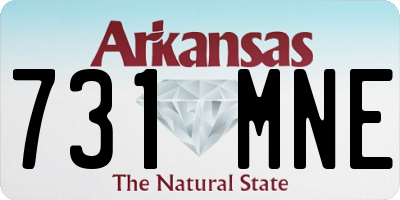 AR license plate 731MNE