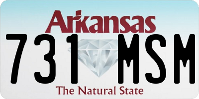 AR license plate 731MSM