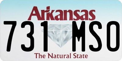AR license plate 731MSO