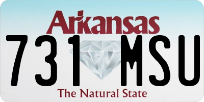 AR license plate 731MSU