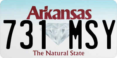 AR license plate 731MSY