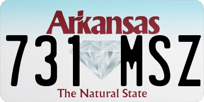 AR license plate 731MSZ