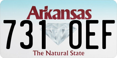 AR license plate 731OEF