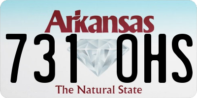 AR license plate 731OHS