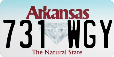 AR license plate 731WGY