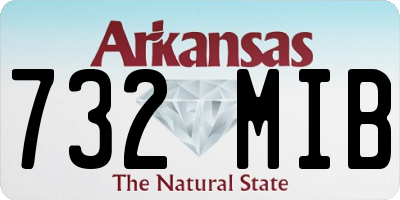 AR license plate 732MIB