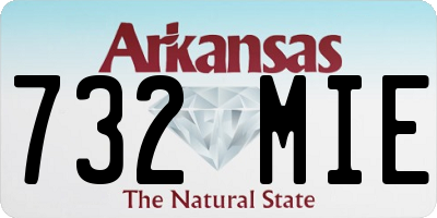 AR license plate 732MIE