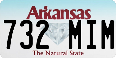 AR license plate 732MIM