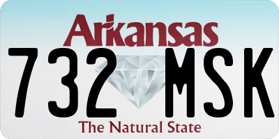 AR license plate 732MSK