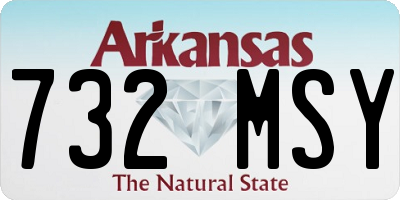 AR license plate 732MSY