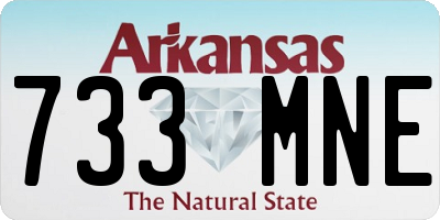 AR license plate 733MNE