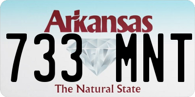 AR license plate 733MNT