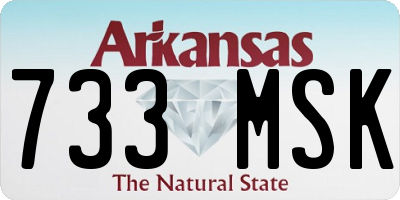 AR license plate 733MSK