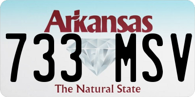 AR license plate 733MSV