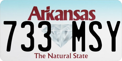 AR license plate 733MSY