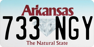 AR license plate 733NGY