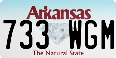 AR license plate 733WGM