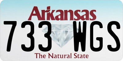 AR license plate 733WGS