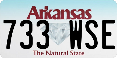 AR license plate 733WSE