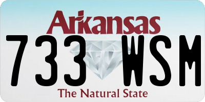 AR license plate 733WSM