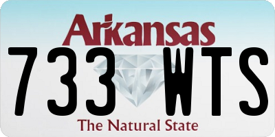 AR license plate 733WTS