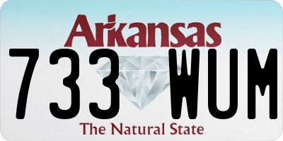AR license plate 733WUM