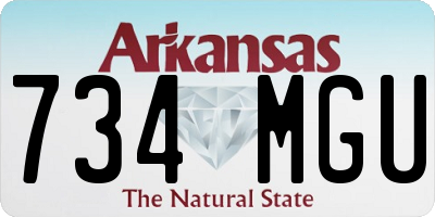 AR license plate 734MGU