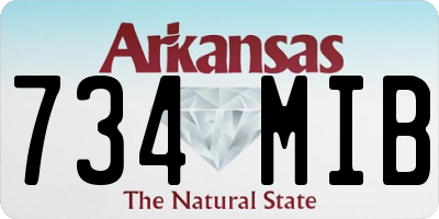 AR license plate 734MIB