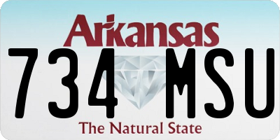 AR license plate 734MSU