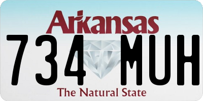 AR license plate 734MUH