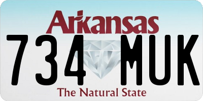 AR license plate 734MUK