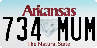 AR license plate 734MUM