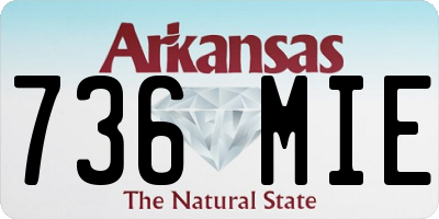 AR license plate 736MIE