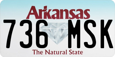 AR license plate 736MSK