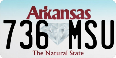 AR license plate 736MSU