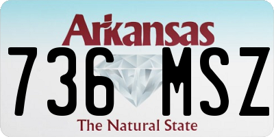 AR license plate 736MSZ