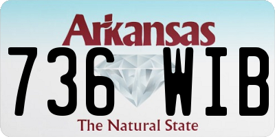 AR license plate 736WIB