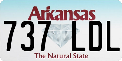 AR license plate 737LDL