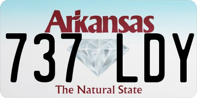AR license plate 737LDY