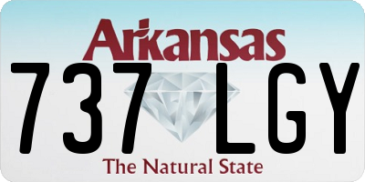 AR license plate 737LGY